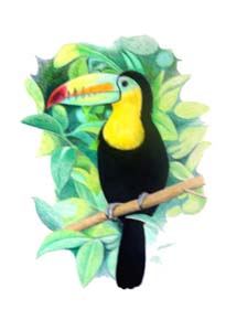 Picture 4