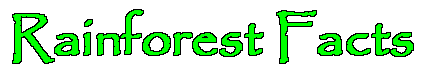 Rainforest Facts