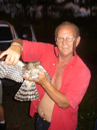 roadside hawk