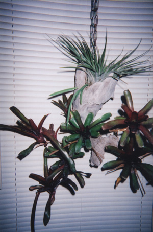 Picture 7